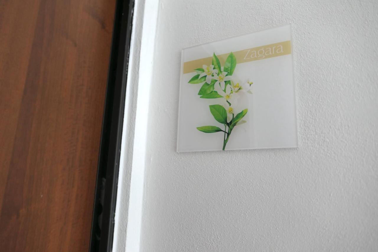 Casa Consoli 卡塔尼亚 外观 照片